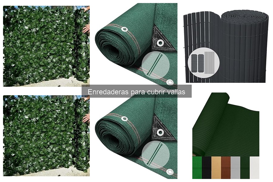 Cómo Instalar Enredaderas para Cubrir Vallas en tu Jardín