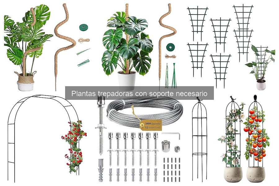 Cómo instalar soportes para plantas trepadoras fácilmente