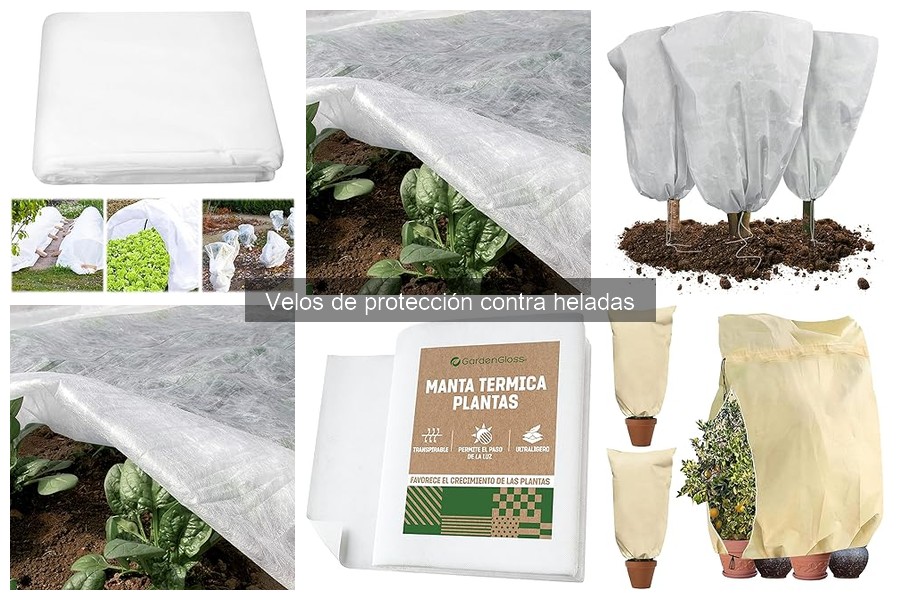 Cómo Instalar un Velo de Protección contra Heladas