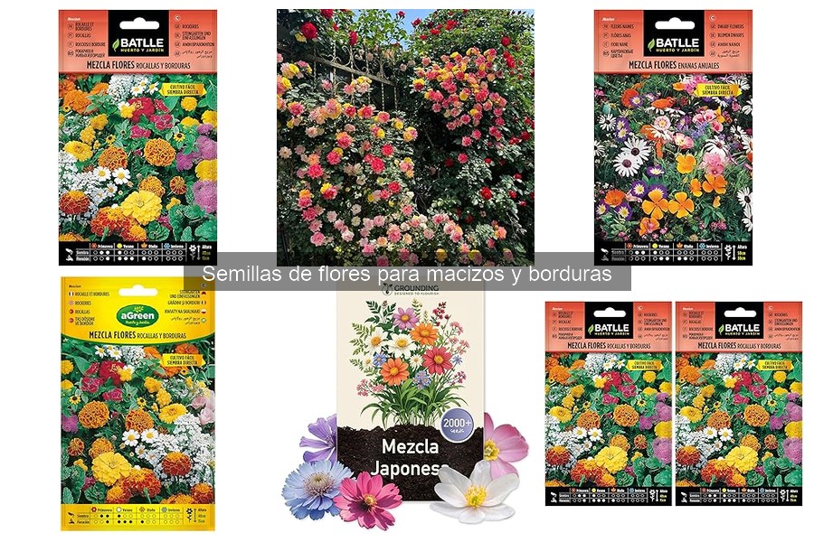 Cómo las lluvias afectan la germinación de semillas de flores