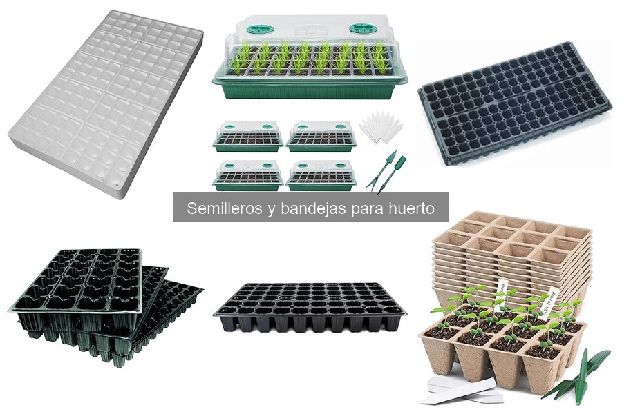 Cómo Mantener Semilleros para Mejorar la Germinación