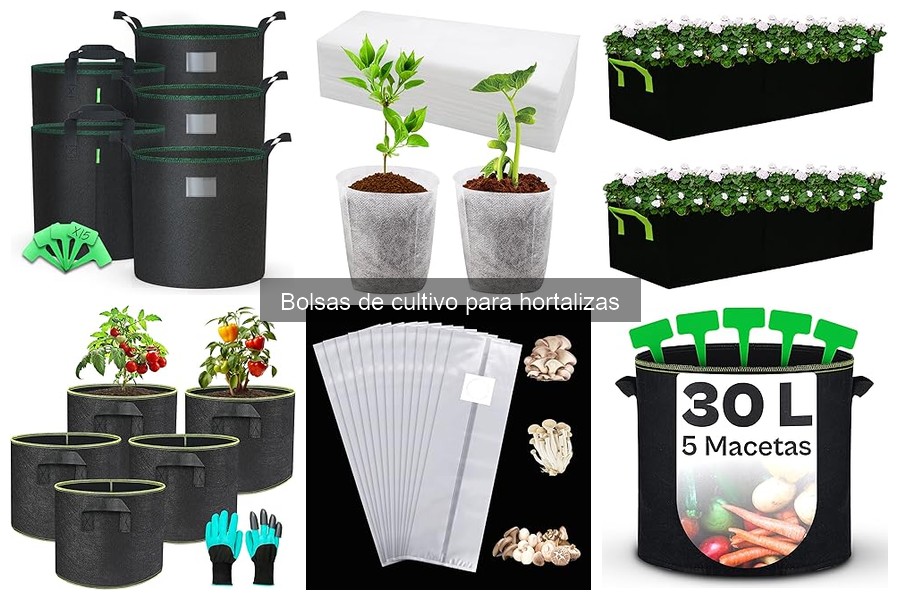 Cómo mantener tus bolsas de cultivo para hortalizas