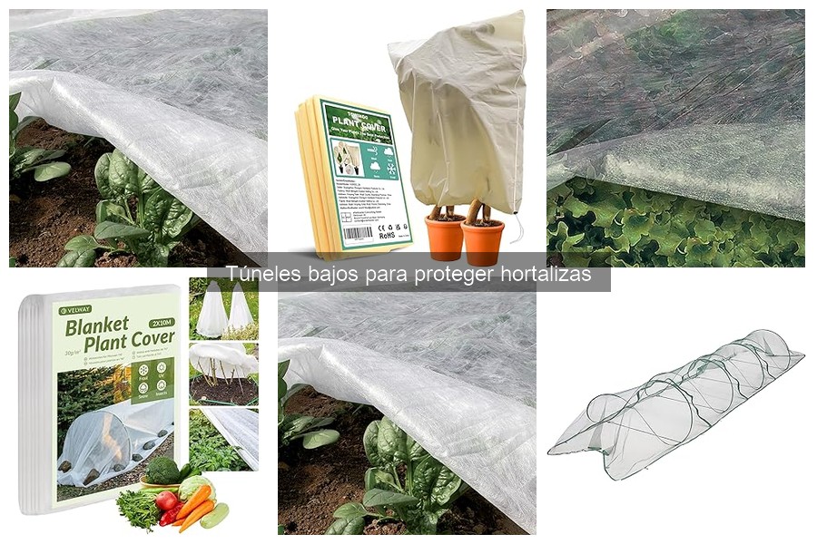 Cómo mantener un túnel bajo en buen estado para hortalizas