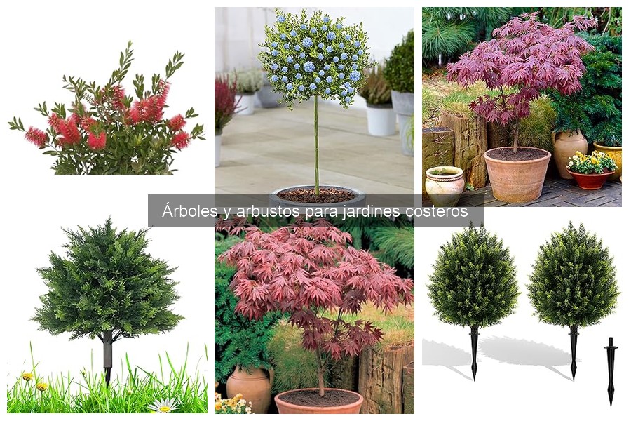 Cómo Plantar Arbustos en Jardines Costeros: Guía Paso a Paso