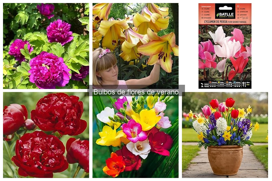 Cómo plantar bulbos de flores de verano correctamente