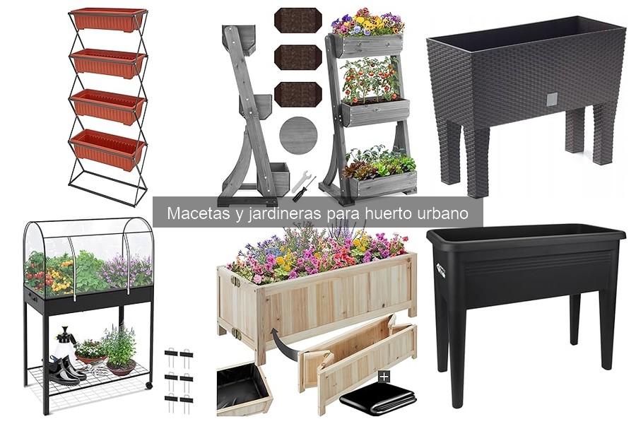 Cómo plantar en macetas: guía para tu huerto urbano