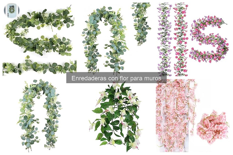 Cómo Plantar Enredaderas con Flor en Muros | Guía Práctica