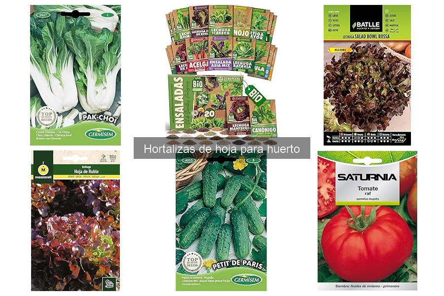 ** Cómo plantar hortalizas de hoja: guía paso a paso