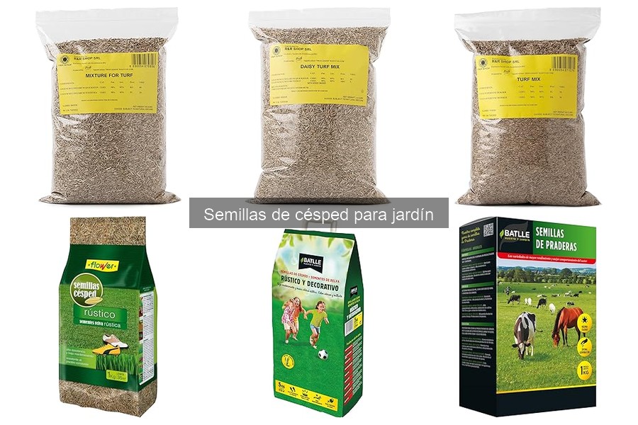 Cómo plantar semillas de césped: guía práctica y consejos