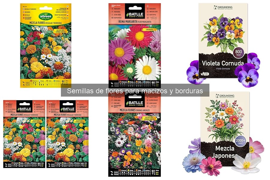 Cómo plantar semillas de flores en macizos y borduras