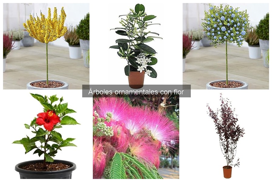 Cómo plantar un árbol ornamental con flor: guía práctica