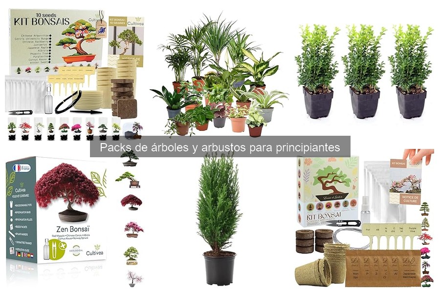 Cómo plantar y cuidar árboles y arbustos en pack