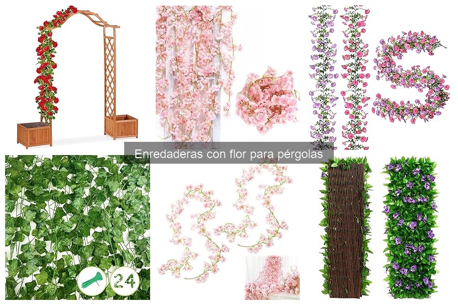 Cómo plantar y cuidar enredaderas con flor en pérgolas
