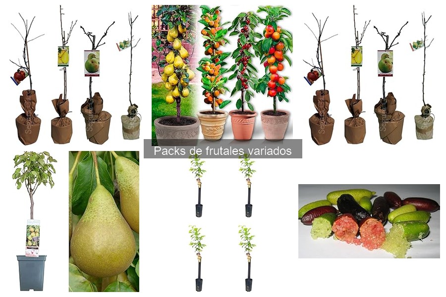 Cómo plantar y cuidar frutales de un pack específico