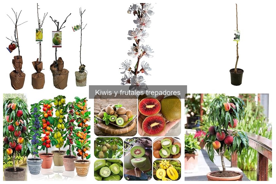 Cómo podar frutales trepadores para mejorar la cosecha