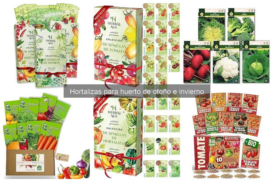 Cómo preparar el suelo para hortalizas de otoño