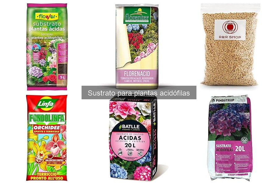 Cómo preparar sustrato para plantas acidófilas en casa