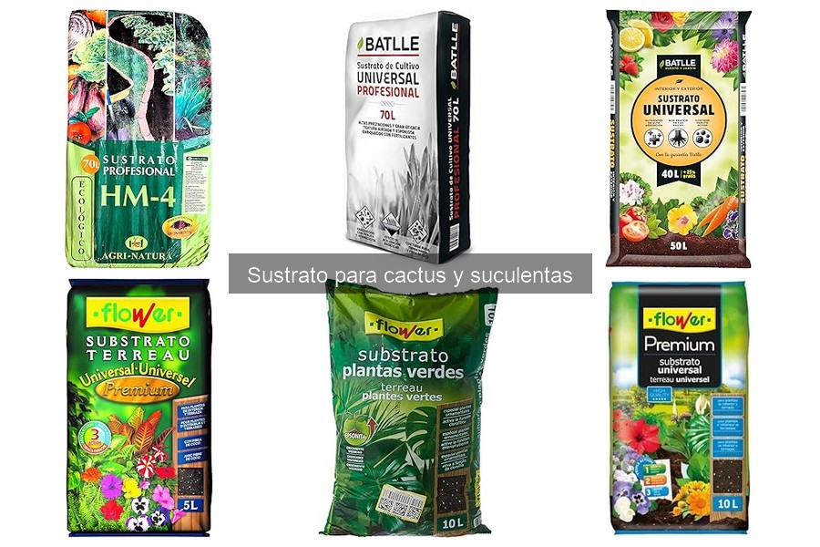 Cómo preparar un sustrato casero para cactus y suculentas