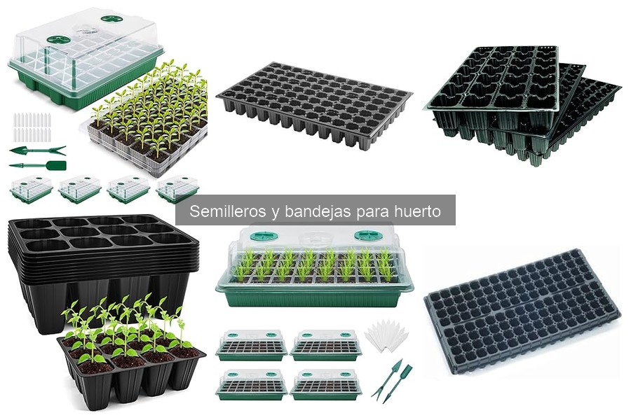 Cómo preparar y utilizar un semillero correctamente