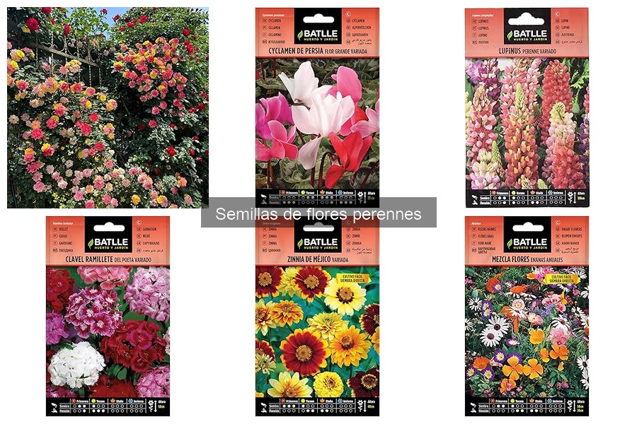 Cómo Propagar Flores Perennes a Partir de Semillas