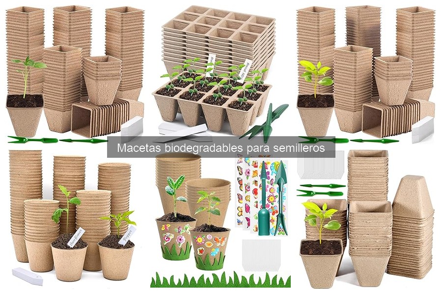 Cómo reciclar macetas biodegradables usadas de forma sostenible