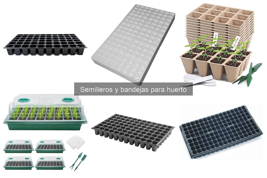 Cómo reciclar semilleros usados: Ideas y consejos prácticos
