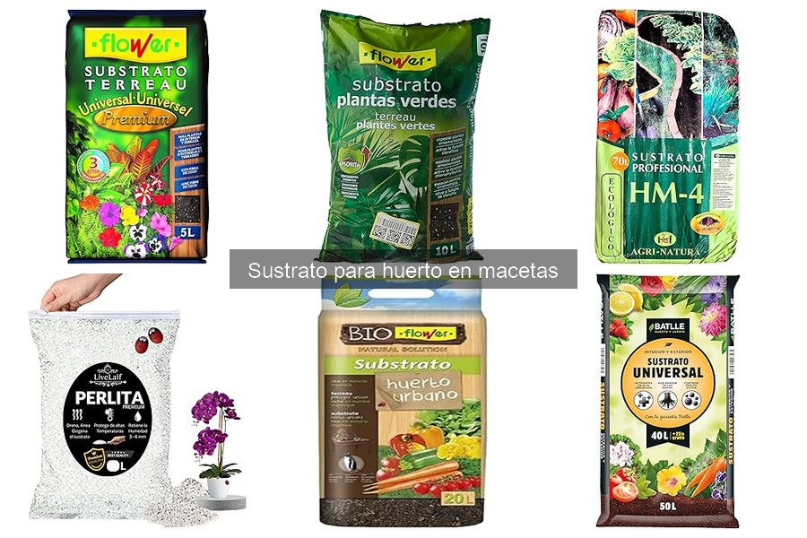 Cómo Replantar con Sustrato Ideal para Macetas
