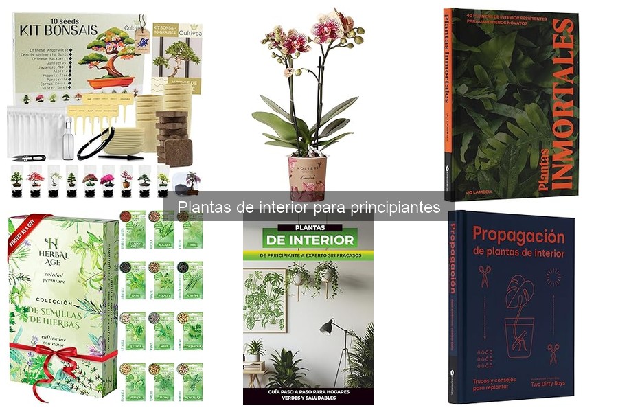 Cómo revitalizar plantas de interior marchitas: consejos prácticos