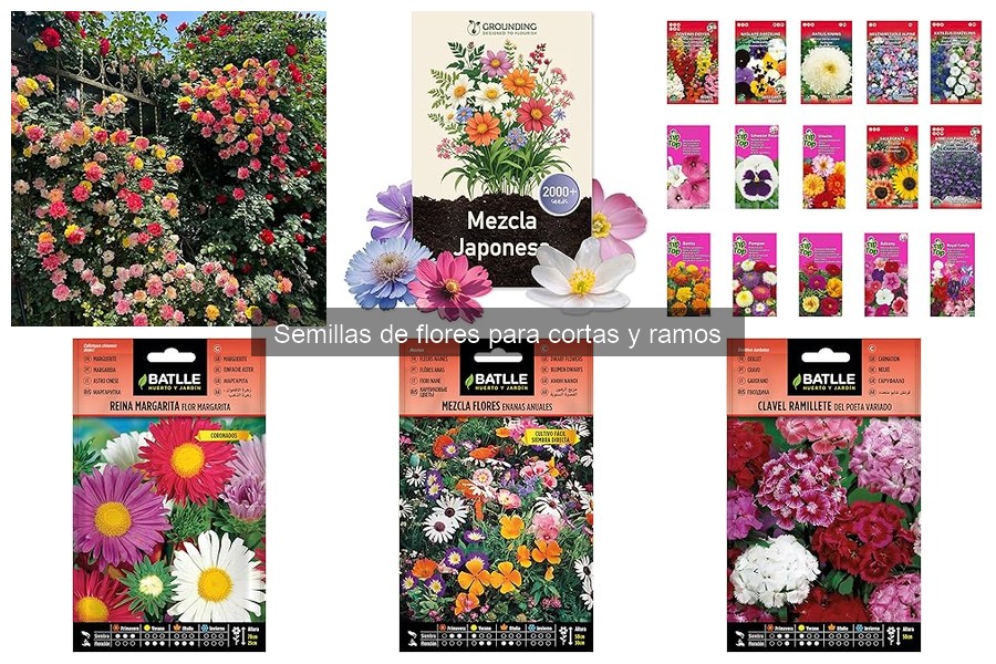 Cómo sembrar y cuidar semillas de flores para ramos