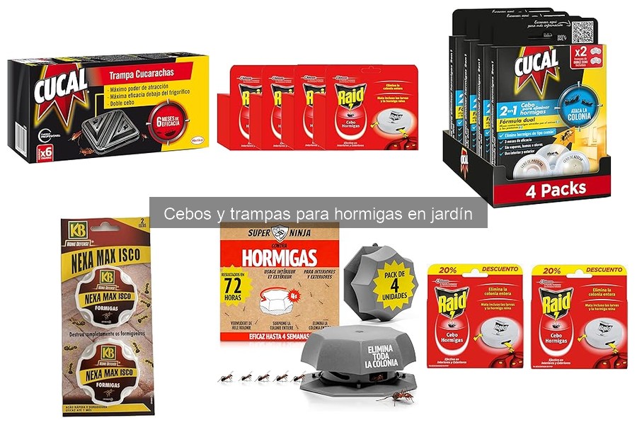 Cómo usar cebos y trampas para hormigas en tu jardín