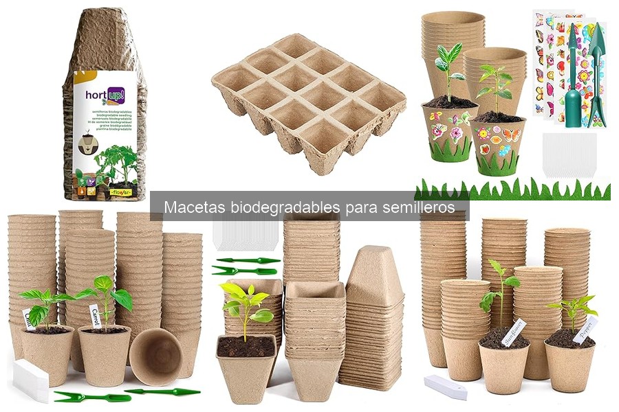 Cómo usar macetas biodegradables en el huerto