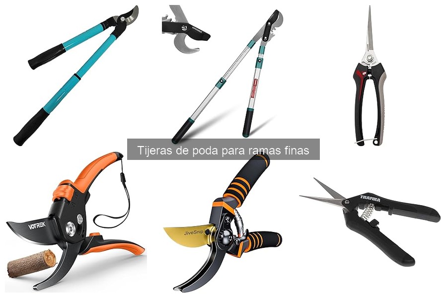 Cómo usar tijeras de poda para ramas finas correctamente