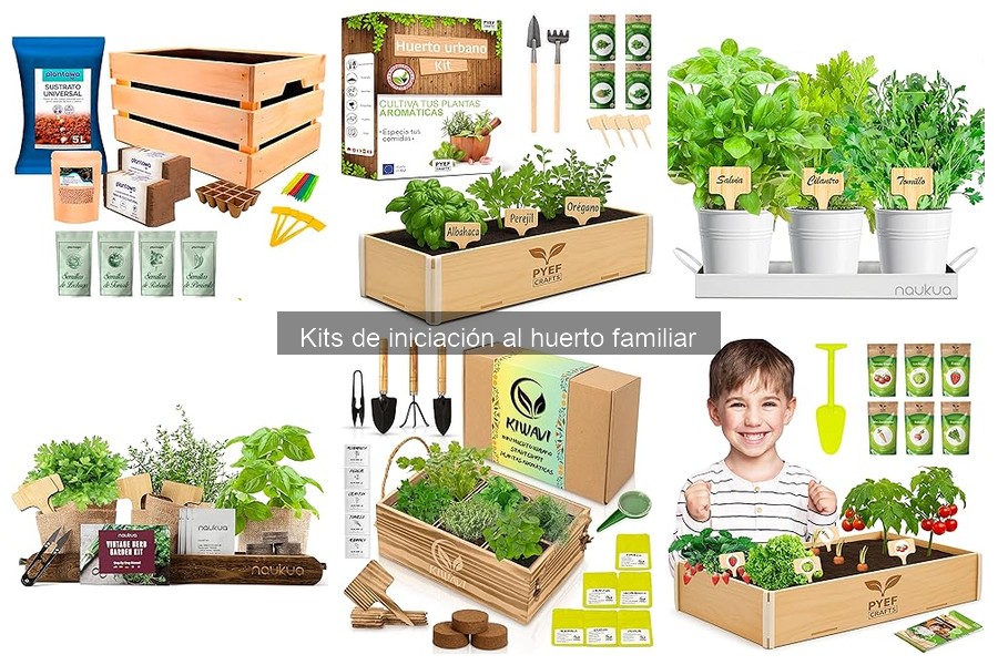 Cómo usar un kit de iniciación al huerto familiar