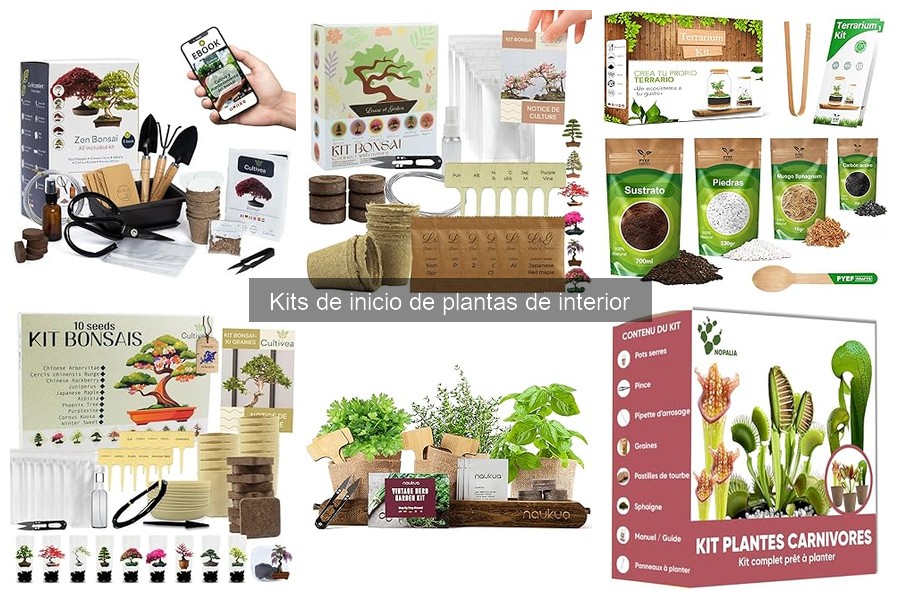 Cómo usar un kit de inicio de plantas de interior