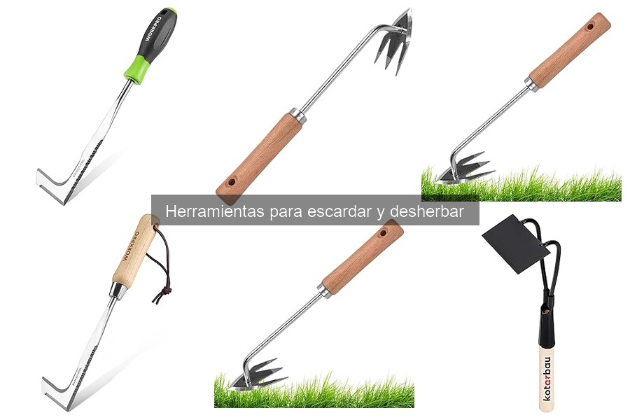 Cómo utilizar herramientas para escardar correctamente