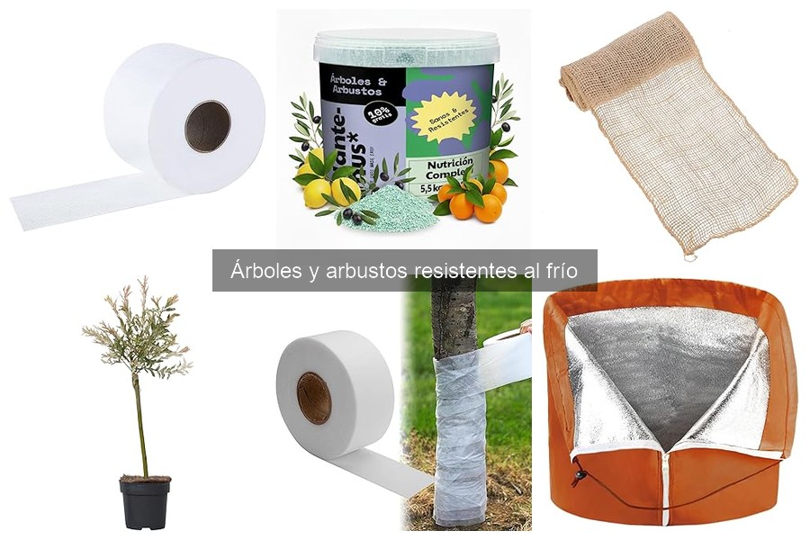 Comparativa: Arbustos resistentes al frío vs. Ornamentales