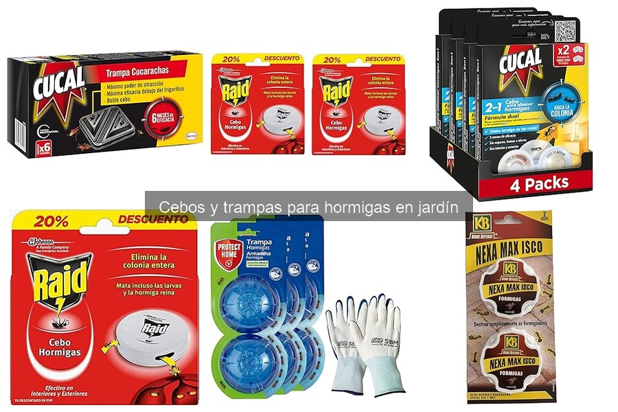 Comparativa: Cebos y trampas para hormigas vs. Métodos naturales
