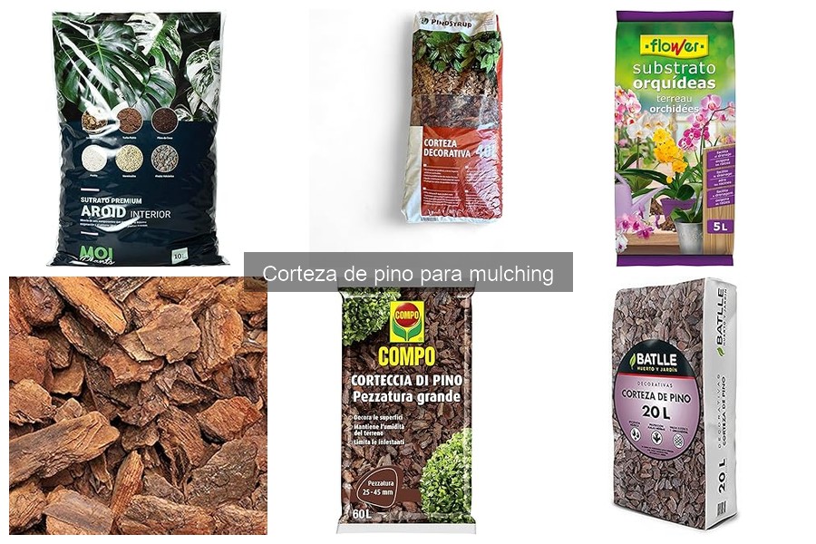 Comparativa: Corteza de Pino vs Otros Tipos de Mulch