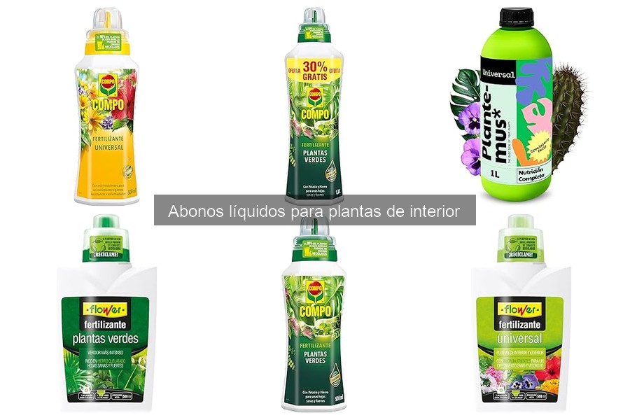 Comparativa de abonos líquidos y sólidos para plantas de interior