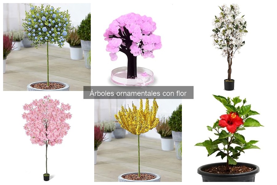 Comparativa de Árboles Ornamentales con Flor Más Populares