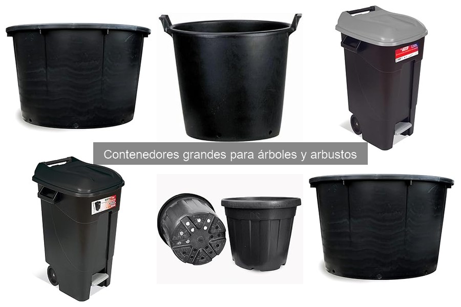 Comparativa de contenedores grandes para árboles y arbustos