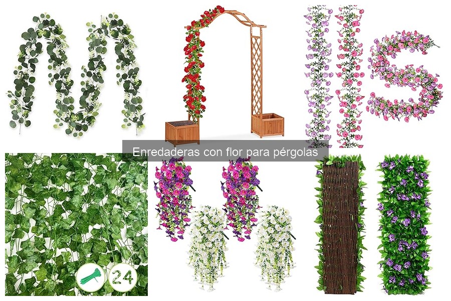 Comparativa de enredaderas con flor para pérgolas