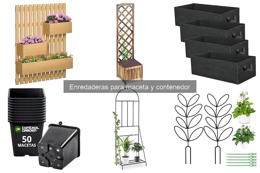 Comparativa de Enredaderas para Macetas: Mejores Marcas 2023