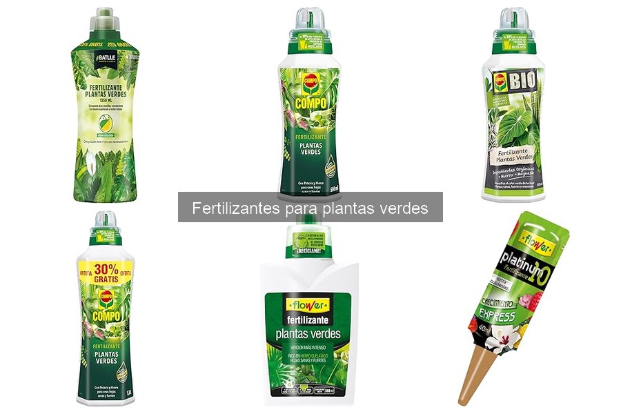 Comparativa de Fertilizantes para Plantas Verdes: Interior vs Exterior