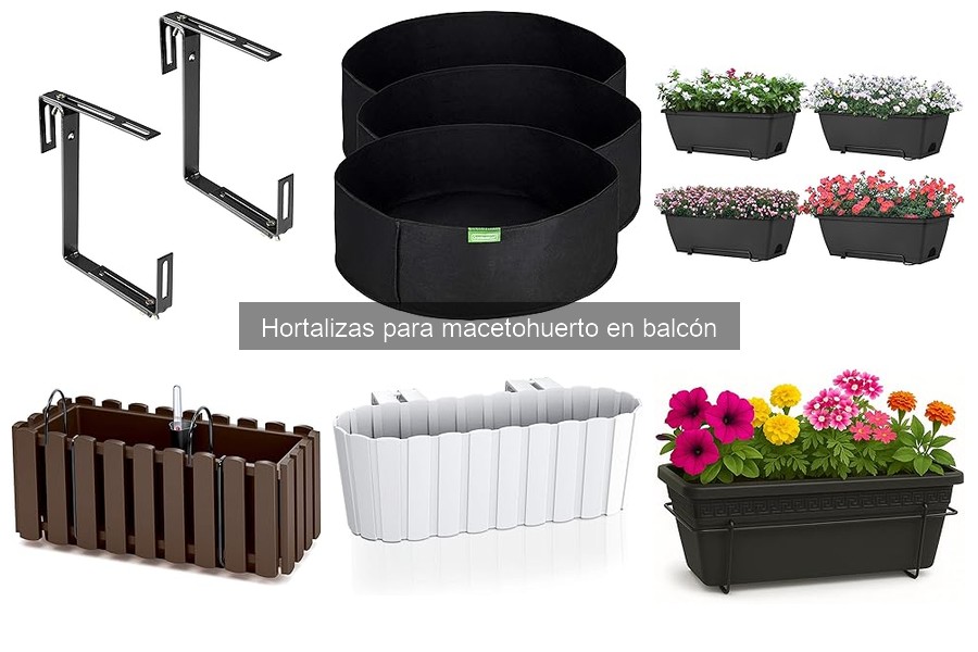 Comparativa de hortalizas de crecimiento rápido para tu balcón