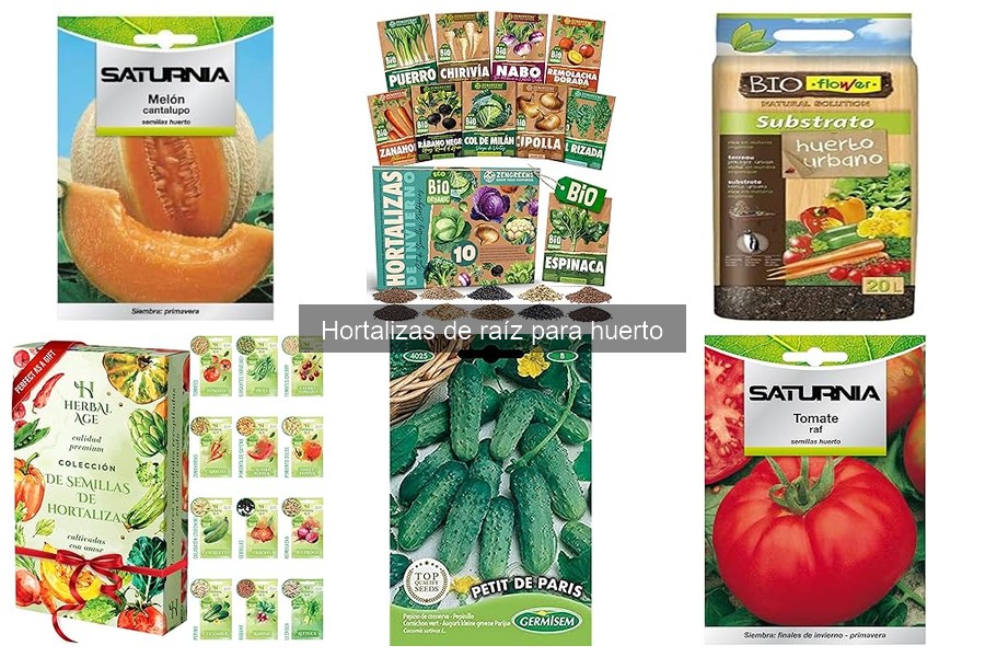Comparativa de hortalizas de raíz: beneficios nutricionales
