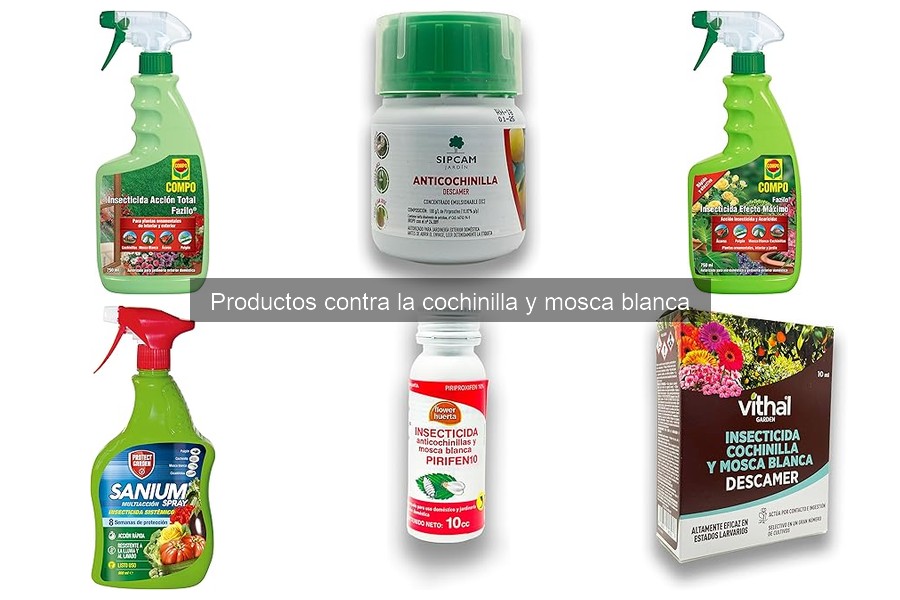 Comparativa de insecticidas para cochinilla y mosca blanca
