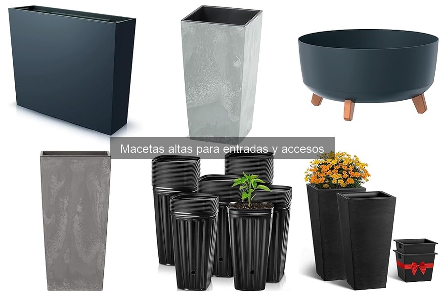 Comparativa de macetas altas: plástico, cerámica y metal