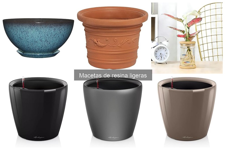 Comparativa de Macetas: Resina vs Plástico