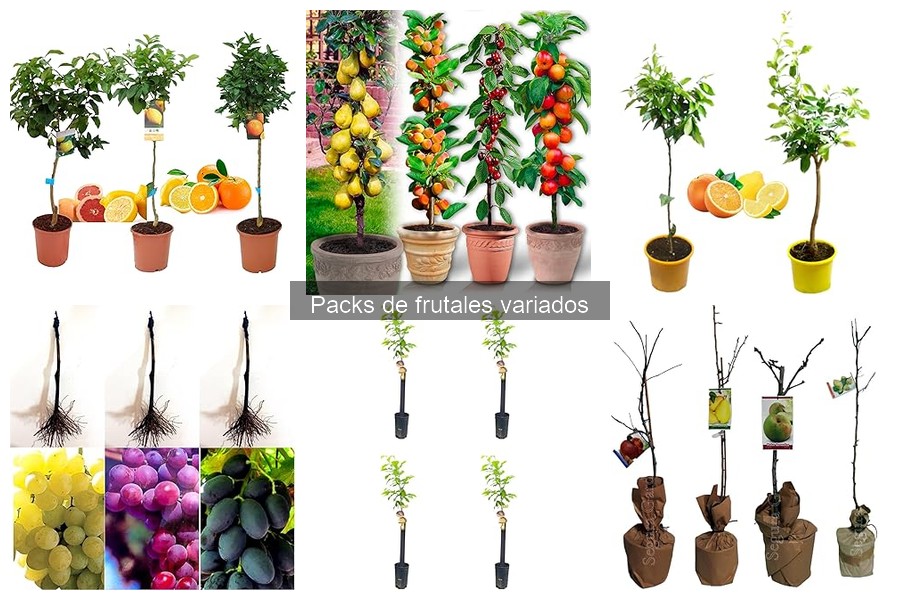 Comparativa de packs de frutales: calidad y precio